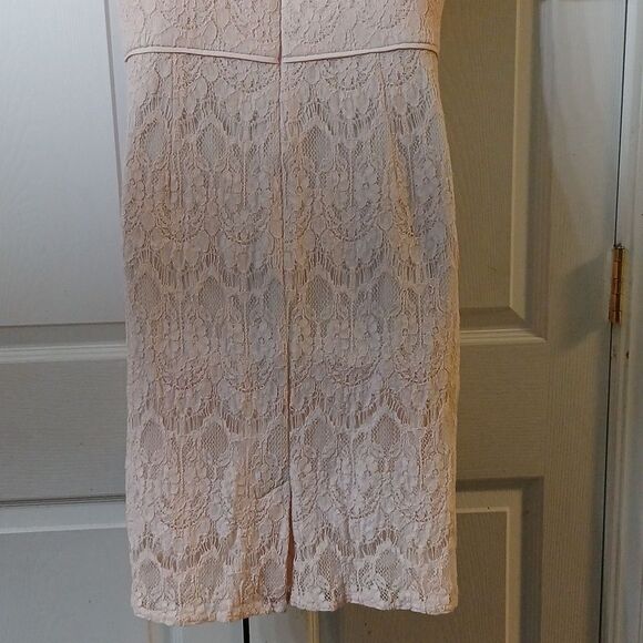 Lovely by Adrianna Papell blush lace dress wedding cruise baby shower Sz 10 NWOT - Picture 5 of 8